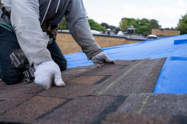 Best Roof Gutter Cleaning  in Haynesville, LA