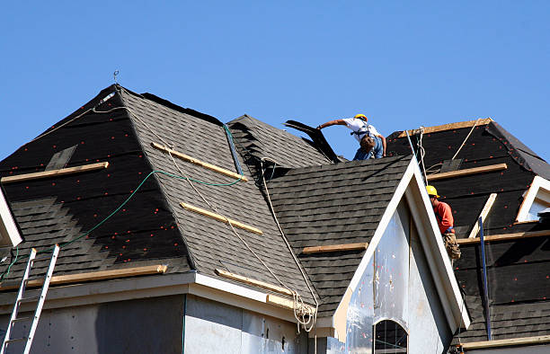 Best Gutter Installation and Roofing  in Haynesville, LA